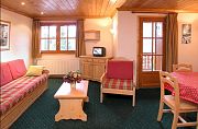 Francija Residence Alpine Lodge Les 2 Alpes televizija