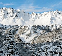 Vars