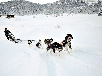 Snežna vprega Passo Tonale.